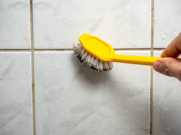 Best Best Mold Removal Companies  in Caruthersville, MO