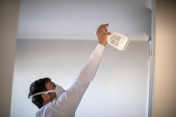 Best Affordable Mold Removal  in Caruthersville, MO