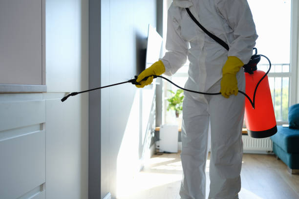 Best Crawl Space Mold Removal  in Caruthersville, MO