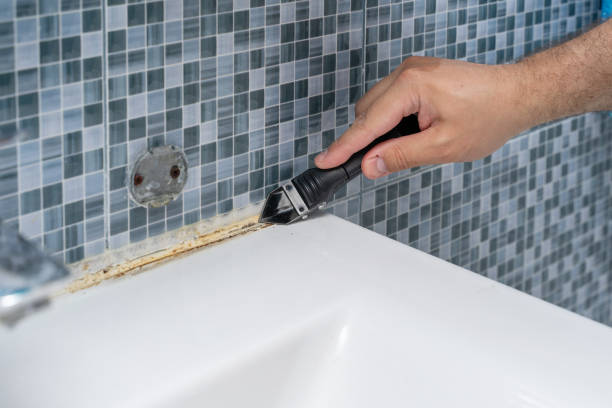 Mold Removal Process in Caruthersville, MO